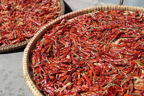 辣椒盘子干燥太阳安纳普尔纳峰电路尼泊尔