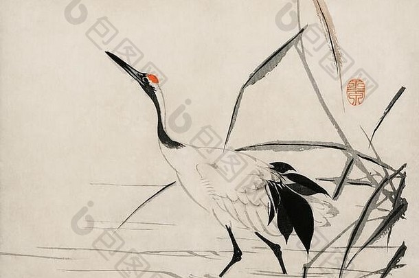 可爱的古董插图特色鸟