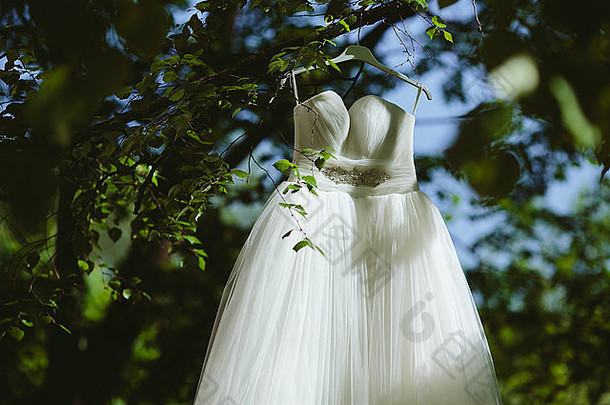 婚礼衣服挂树