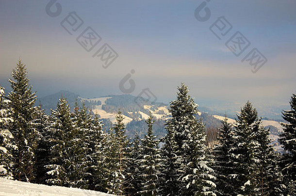 美丽的景观swiitzerland冬天
