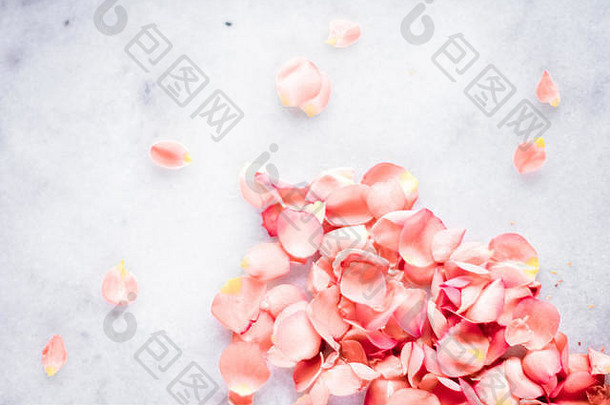 <strong>珊瑚</strong>玫瑰花瓣大理石颜色一年花背景假期花艺术概念优雅的视觉效果