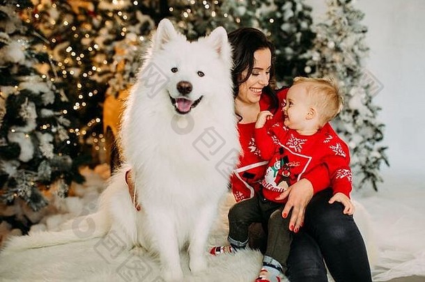 妈妈。儿子坐白色萨莫耶德人狗有趣的背景<strong>圣诞</strong>节树装饰
