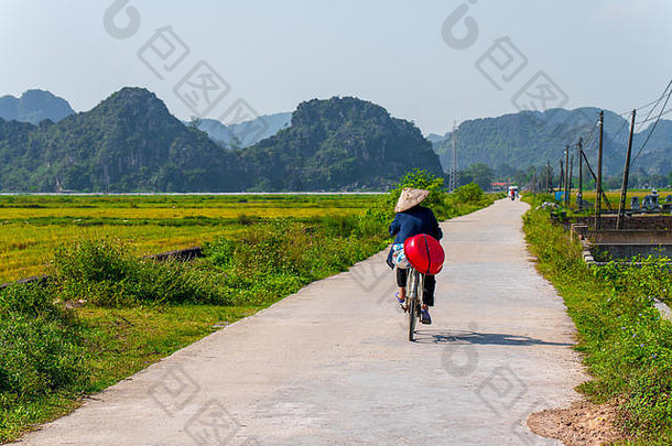 当地的那里coc居民游乐设施小路大米字段美丽的山风景安保兵北部越南秋天
