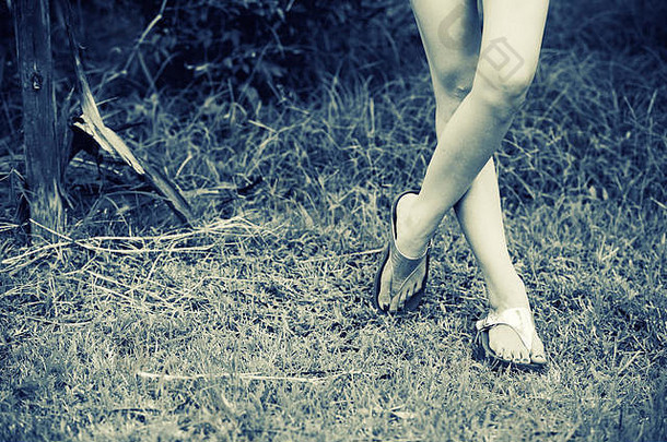 美丽的女人腿高非常鞋子草