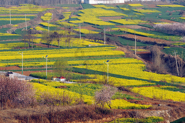 农村风景中国