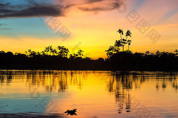 色彩斑斓的日落深亚马逊热带雨林秘鲁