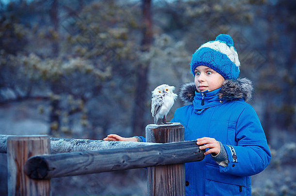 可爱的男孩猫头鹰玩具冬天森林