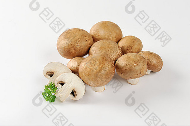 集团罗马棕色（的）蘑菇
