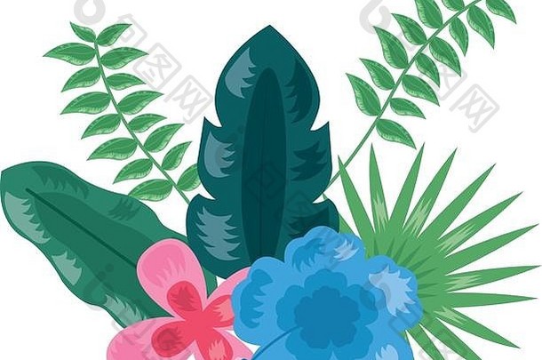 热带花叶子植物装饰