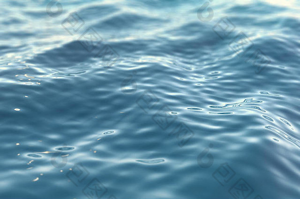 表面水海海洋特写镜头深度场效果插图