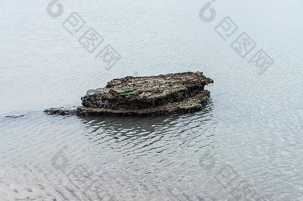 岩石暴露蒙茅斯海滩莱姆瑞吉斯潮