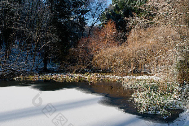 下了雪鸭子冻池塘凤凰城公园都柏林美丽的冬天早....一天一年