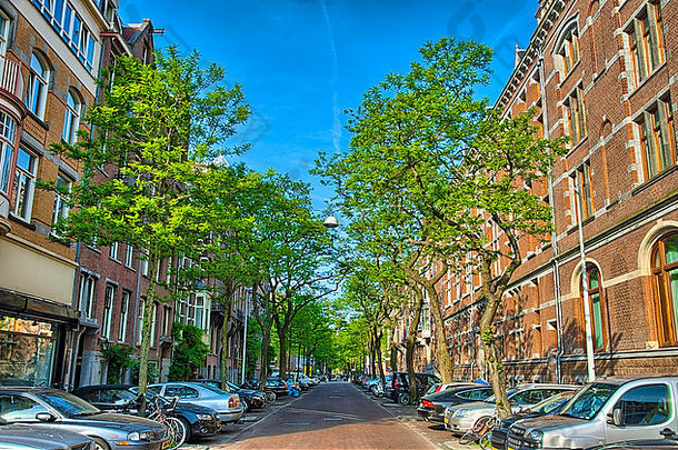 街树红色的砖房子阿姆斯特丹荷兰