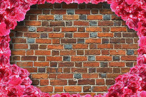 框架红色的玫瑰背景墙红色的砖