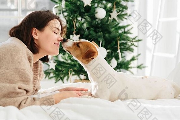 快乐的女人吻最喜欢的狗眼睛关闭快乐谎言床上圣诞节树首页不错的的关系peopl