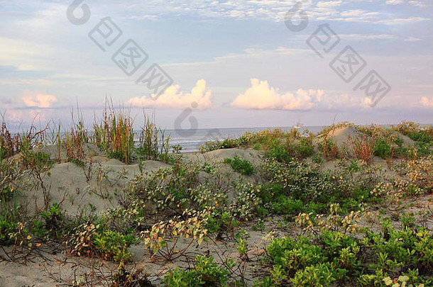 日出沙丘海滩kiawah岛南卡罗莱纳