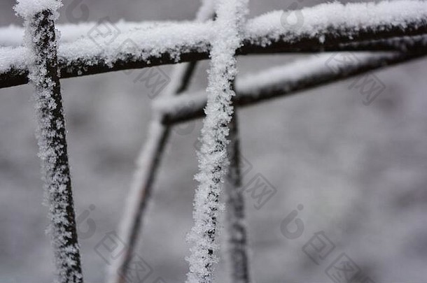 金属生锈的方头的广场网笼子里装饰白色雪明亮的白霜美丽的雪花