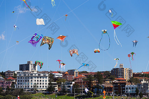 风筝飞行蓝色的悉尼天空邦迪节日风