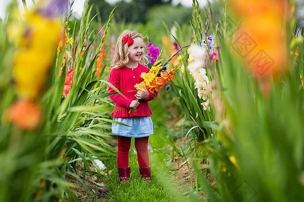 女孩持有剑兰花花束孩子挑选新鲜的花花园孩子们园艺秋天