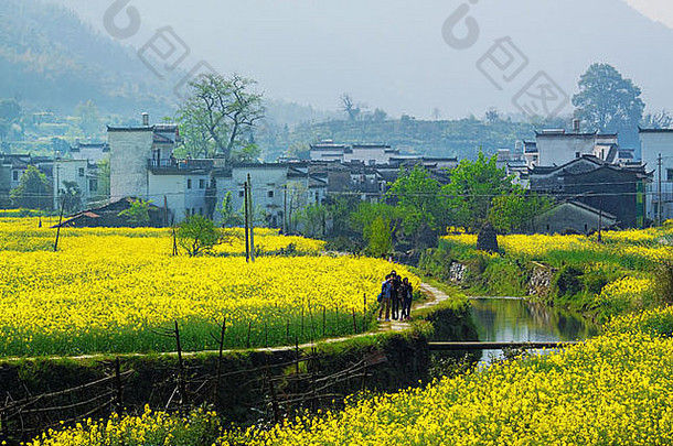 农村景观wuyuan县江西省中国