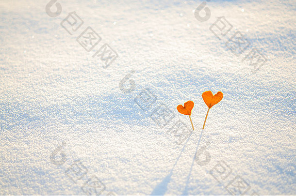 古董橙色橘子心白色雪背景爱情人节一天概念