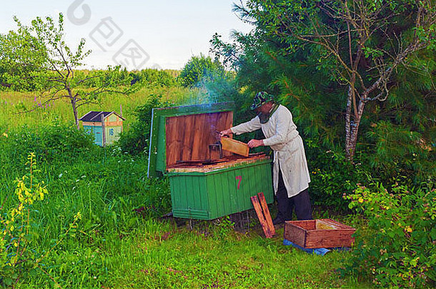 养蜂人作品蜂巢村