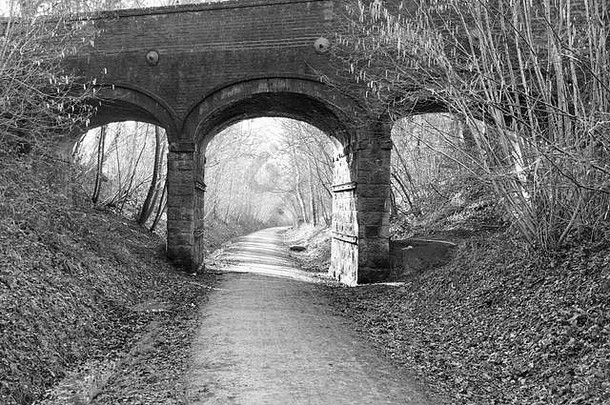 黑色的白色世纪桥价值西苏塞克斯废弃的铁路