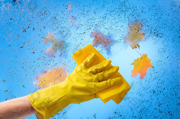 手黄色的橡胶手套餐巾蓝色的天空色彩斑斓的枫木叶子分支脏玻璃概念上的图像主题洁净线