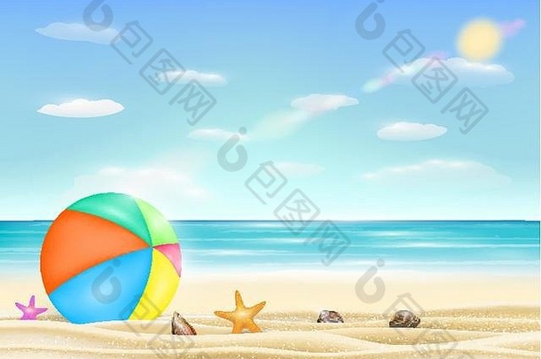 海滩球海沙子海滩海星壳牌