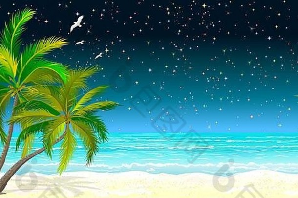 热带海景棕榈树桑迪海岸背景海晚上布满星星的天空