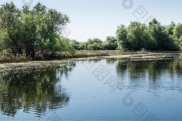 多瑙河河δ美丽的景观罗马尼亚多布罗吉亚联合国教科文组织生物圈储备