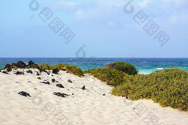 海滩白色金沙视图大西洋海洋兰斯洛特西班牙