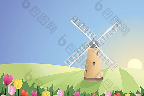 插图风车白色帆和平景观色彩斑斓的郁金香蓝色的天空