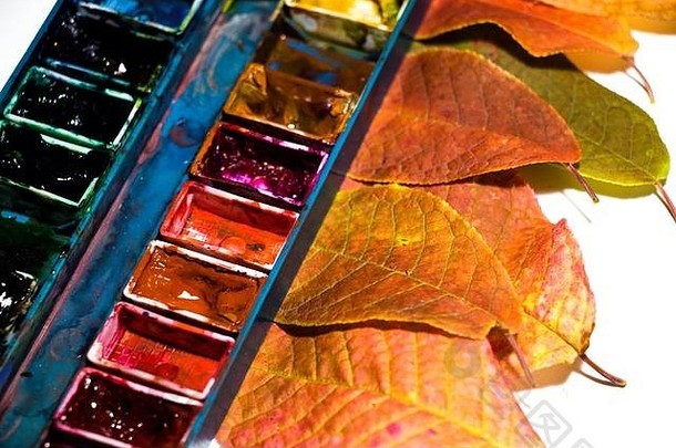 美丽的色彩斑斓的叶子秋天<strong>树</strong>谎言调色板石油油漆美丽的色彩斑斓的抽象创建