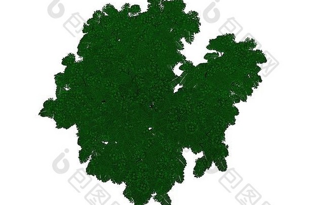 呈现概述了黑色的树绿色边缘孤立的白色背景
