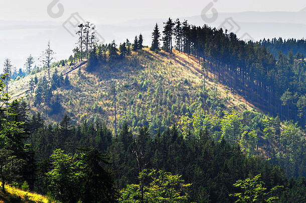 阳光明媚的山景观石头山血淋淋kamienne苏台德山脉较低的西里西亚波兰
