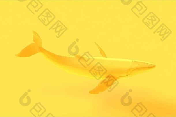 黄色的座头鲸鲸鱼插图渲染