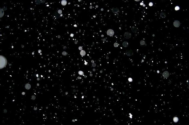 照片密集的雪下降晚上美丽的背景