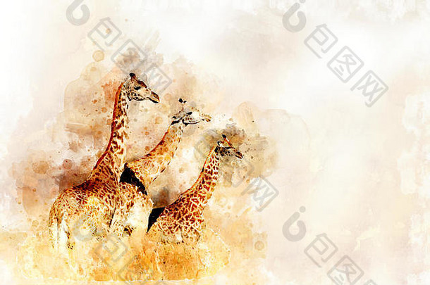 水彩插图长颈鹿肖像美丽的野生动物世界