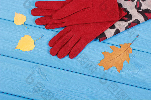 手套色彩斑斓的披肩女人董事会温暖的服装秋天冬天
