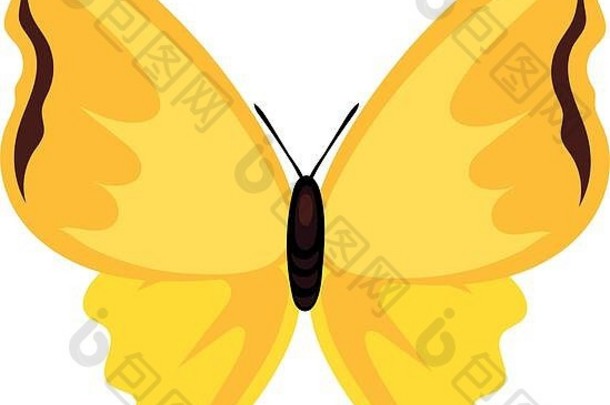 美丽的蝴蝶黄色的昆虫平风格图标