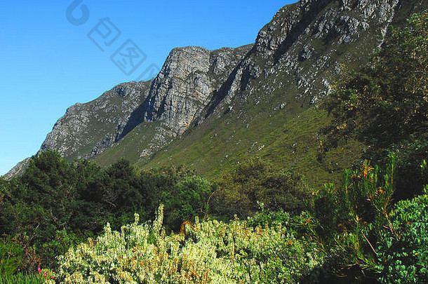 美丽的景观视图山周围哈罗德波特国家植物花园角小镇南非洲