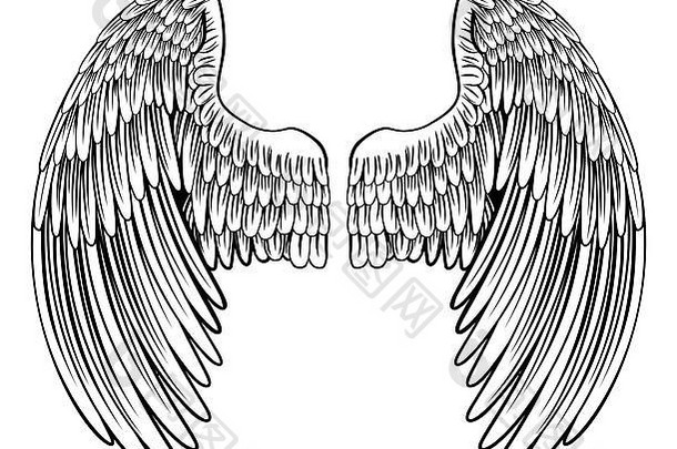 传播鹰鸟<strong>天使</strong>有羽毛的翅膀