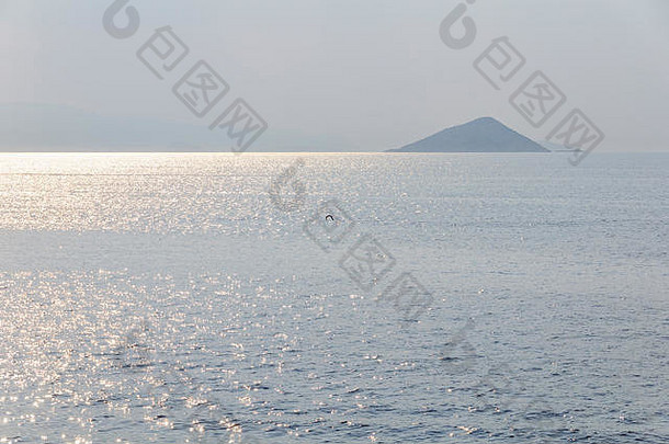 孤独<strong>的</strong>鸟追逐太阳爱琴海海叫做萨罗尼克海湾希腊