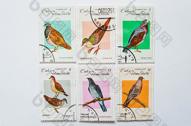 乌日哥罗德乌克兰约集合邮资邮票印刷古巴邮件显示鸟系列约