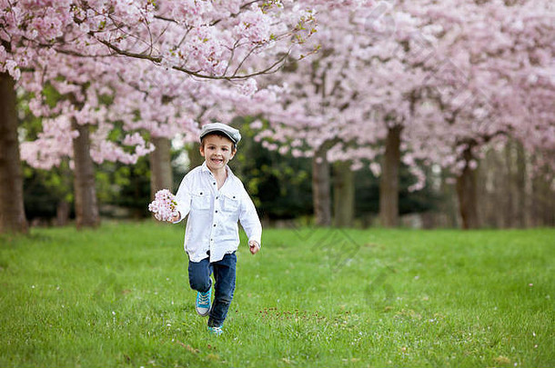 肖像可爱的男孩樱桃开花树花园春天下午积极的情绪微笑