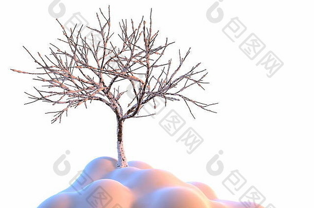 一年卡圣诞节树覆盖雪摘要显示云雪地里概念上的艺术插图