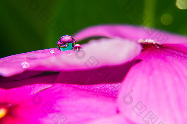 粉红色的花雨滴