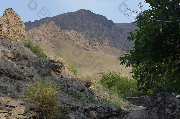 nuratau山nuratau-kyzylkum生物圈储备中央乌兹别克斯坦