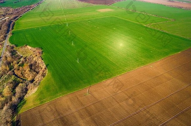 空中视图农业字段图像